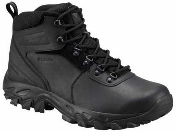 Chaussures de randonnée Columbia Newton Ridge Plus II waterproof