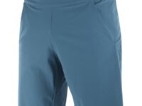 Short de randonnée Salomon Wayfarer Ease pour homme - Bleu - Taille M 2024