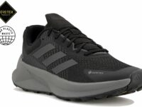 Chaussures de trail adidas Terrex Soulstride Flow Gore-Tex pour homme