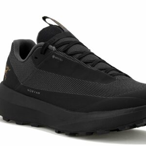 Arcteryx Norvan LD 4 Gore-Tex Chaussures homme - Chaussures de trail confortables