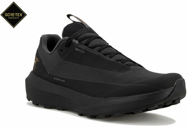 Arcteryx Norvan LD 4 Gore-Tex Chaussures homme - Chaussures de trail confortables