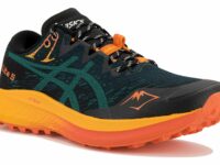 Asics Fuji Lite 5 Chaussures homme