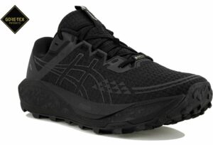 Chaussures de trail Asics Gel-Trabuco 13 Gore-Tex pour homme