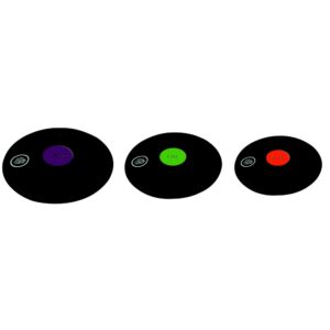 Disque à lancer Tremblay 800 g pour initiation au lancer du disque