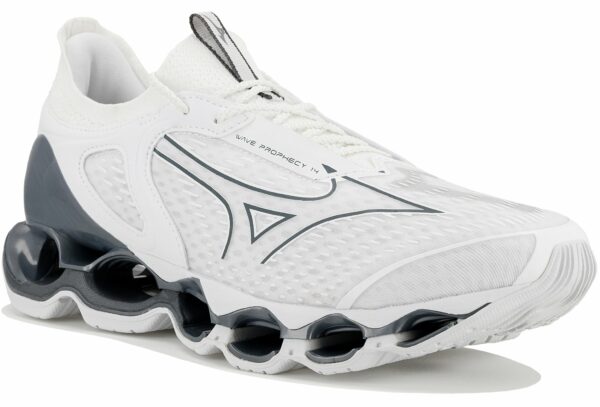 Chaussures de running homme Mizuno Wave Prophecy 14