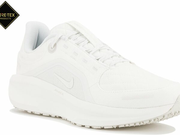 Nike Air Winflo 11 Gore-Tex Chaussures homme déstockage