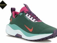 Chaussures de sport femme Nike Infinity RN 4 Gore-Tex