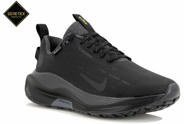 Chaussures de running Nike Infinity RN 4 Gore-Tex pour femme