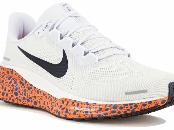 Chaussures de running Nike Pegasus 41 pour femme