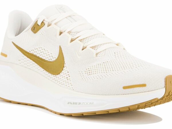 Nike Pegasus 41 Chaussures de sport femme