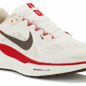 Chaussures de running Nike Pegasus 41 pour femme
