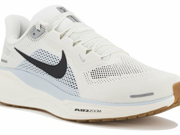 Chaussures de running Nike Pegasus 41 pour homme