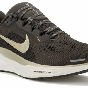 Chaussures de Running Nike Pegasus 41 pour homme