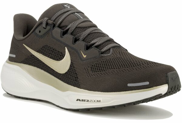 Chaussures de Running Nike Pegasus 41 pour homme