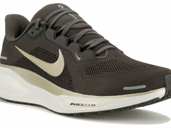 Chaussures de Running Nike Pegasus 41 pour homme