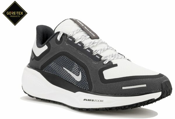 Chaussures de running Nike Pegasus 41 Gore-Tex pour femme