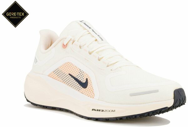Chaussures de running Nike Pegasus 41 Gore-Tex pour femme en promotion
