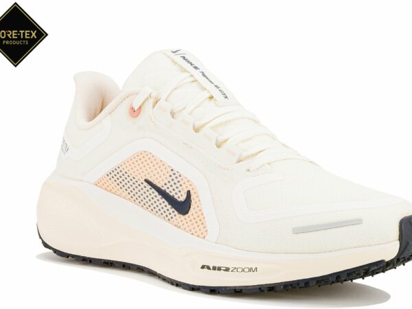 Nike Pegasus 41 Gore-Tex Chaussures de sport femme déstockage