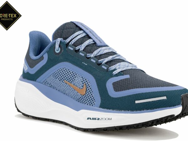 Nike Pegasus 41 Gore-Tex Chaussures de sport femme