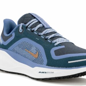 Nike Pegasus 41 Gore-Tex Chaussures de sport femme pour un running performant par tous les temps