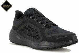 Chaussures de running Nike Pegasus 41 Gore-Tex pour femme