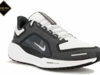 Chaussures de running Nike Pegasus 41 Gore-Tex pour homme