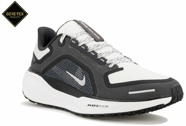 Chaussures de Running Nike Pegasus 41 Gore-Tex pour homme