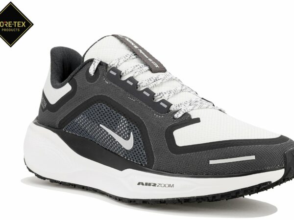 Chaussures de Running Nike Pegasus 41 Gore-Tex pour homme