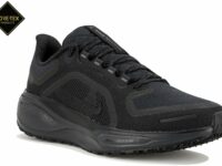 Chaussures de running Nike Pegasus 41 Gore-Tex pour homme