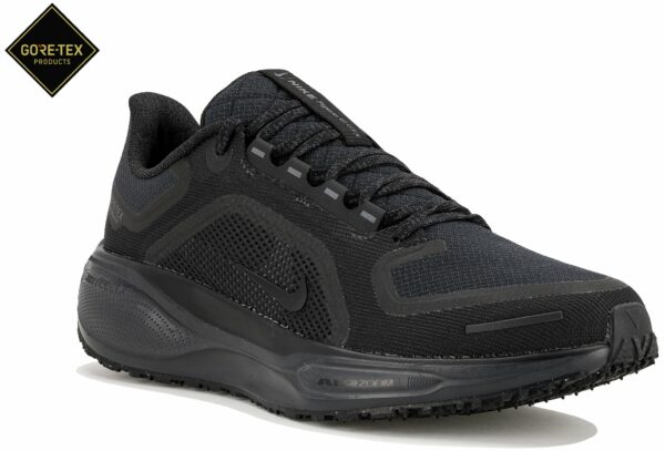 Chaussures de running Nike Pegasus 41 Gore-Tex pour homme