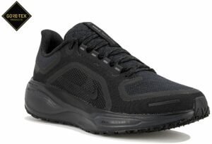 Nike Pegasus 41 Gore-Tex Chaussures homme