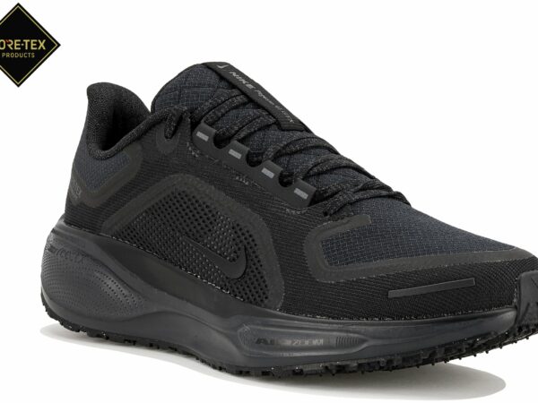 Nike Pegasus 41 Gore-Tex Chaussures homme