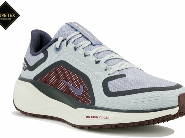 Chaussures de running Nike Pegasus 41 Gore-Tex pour homme