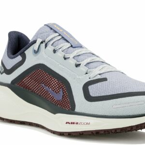 Chaussures de running Nike Pegasus 41 Gore-Tex pour homme