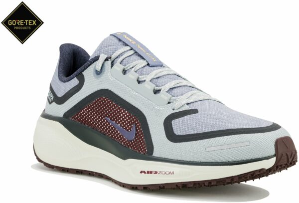 Chaussures de running Nike Pegasus 41 Gore-Tex pour homme