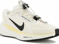 Chaussures de sport femme Nike Pegasus EasyOn pour des sessions de running
