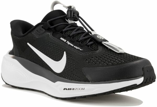Chaussures de sport femme Nike Pegasus EasyOn pour des sessions de running tout confort