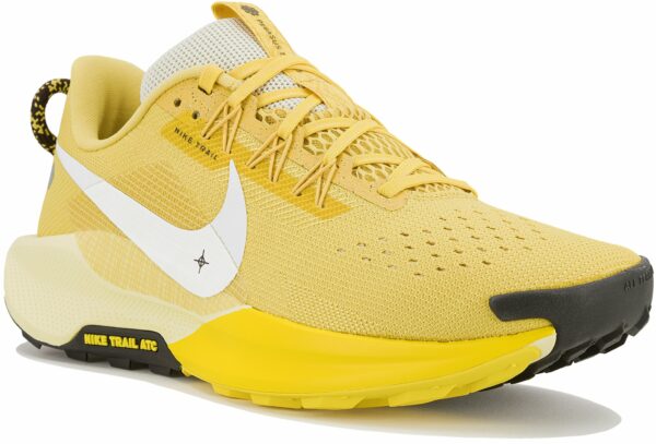 Chaussures de trail Nike Pegasus Trail 5 pour homme