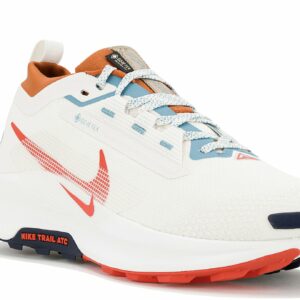 Chaussures de trail Nike Pegasus Trail 5 Gore-Tex homme