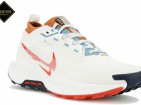 Chaussures de trail Nike Pegasus Trail 5 Gore-Tex pour homme en déstockage