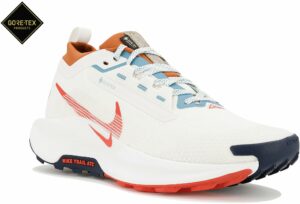 Chaussures de trail Nike Pegasus Trail 5 Gore-Tex pour homme en déstockage