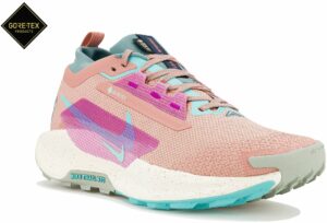 Nike Pegasus Trail 5 Gore-Tex Chaussures homme