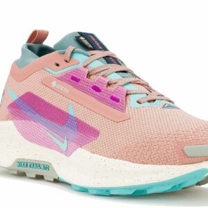 Nike Pegasus Trail 5 Gore-Tex Chaussures homme