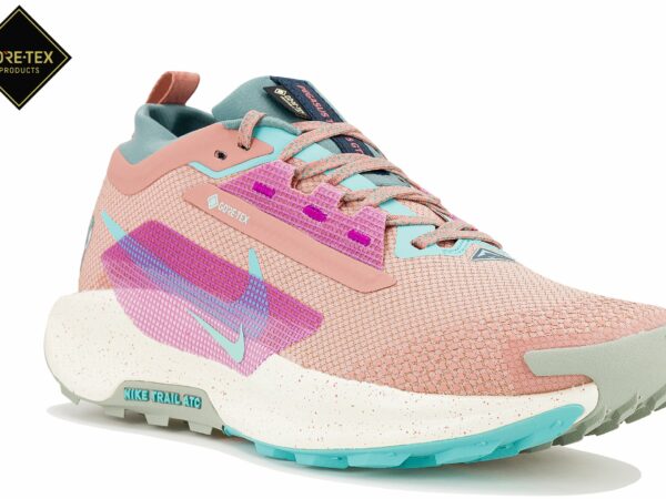 Nike Pegasus Trail 5 Gore-Tex Chaussures homme