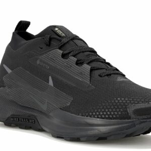 Nike Pegasus Trail 5 Gore-Tex Chaussures homme