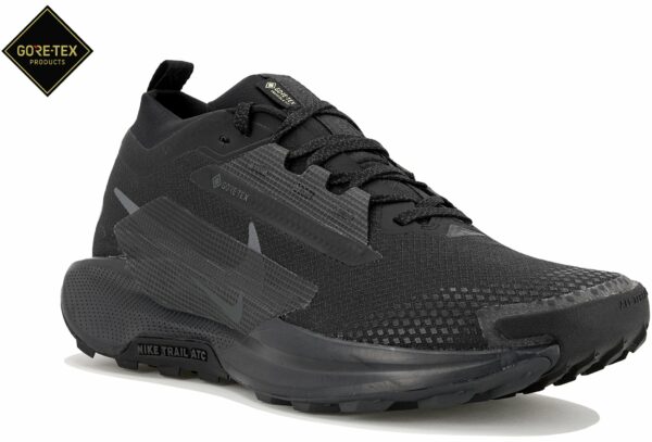 Chaussures de trail Nike Pegasus Trail 5 Gore-Tex pour hommes