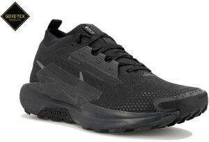 Chaussures homme Nike Pegasus Trail 5 Gore-Tex