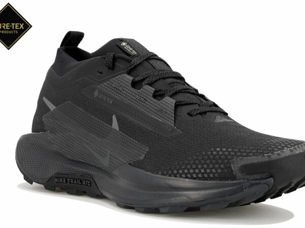 Chaussures homme Nike Pegasus Trail 5 Gore-Tex