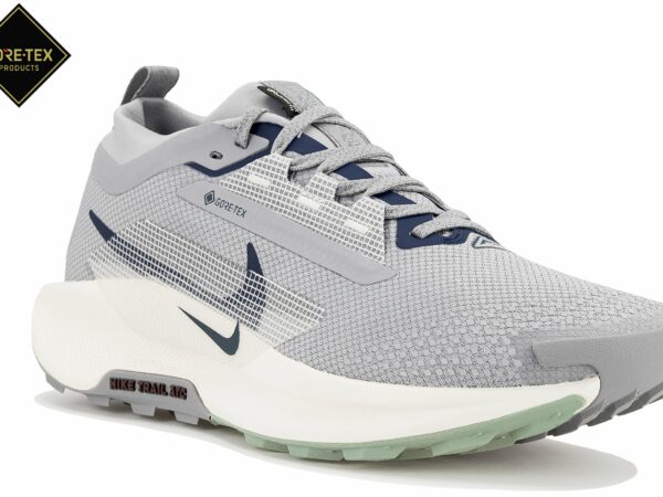 Nike Pegasus Trail 5 Gore-Tex Chaussures homme