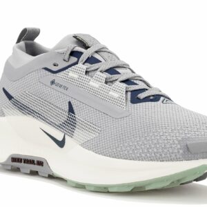 Nike Pegasus Trail 5 Gore-Tex Chaussures homme pour une performance optimale